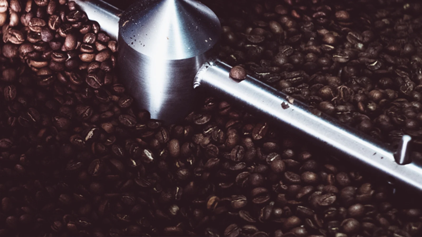 Roasting drum moving glossy coffee beans at Costa Coffee.