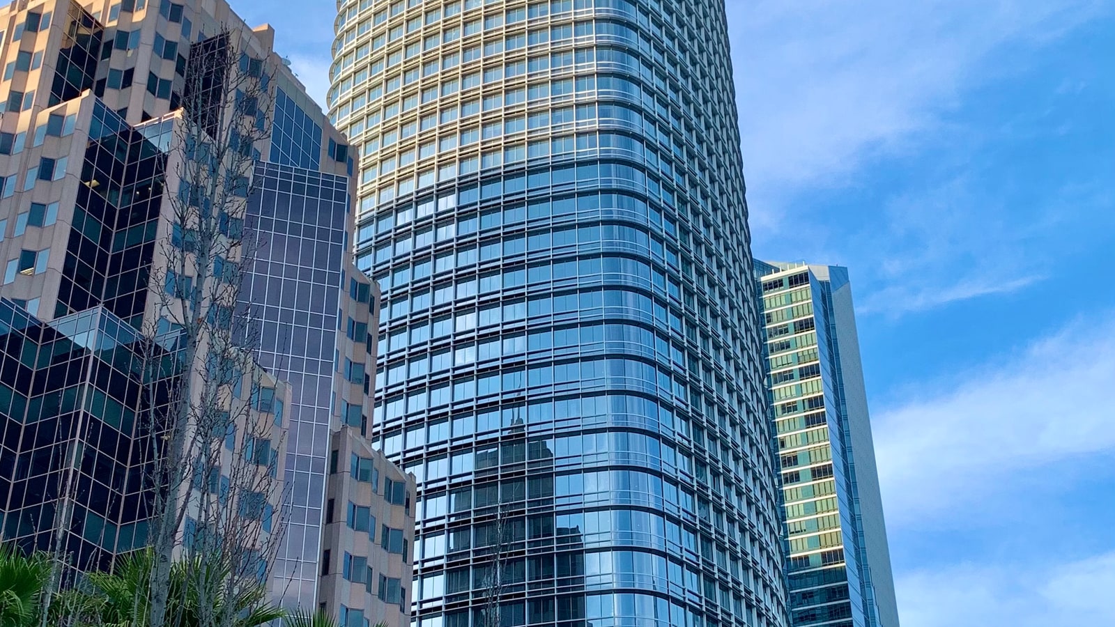 Salesforce Tower seen from Salesforce Park in San Francisco.