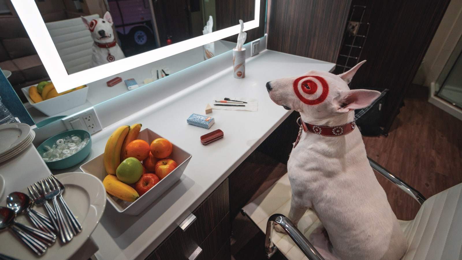 Official Target portrait of Bullseye, the white bull terrier mascot with a red target eye marking.