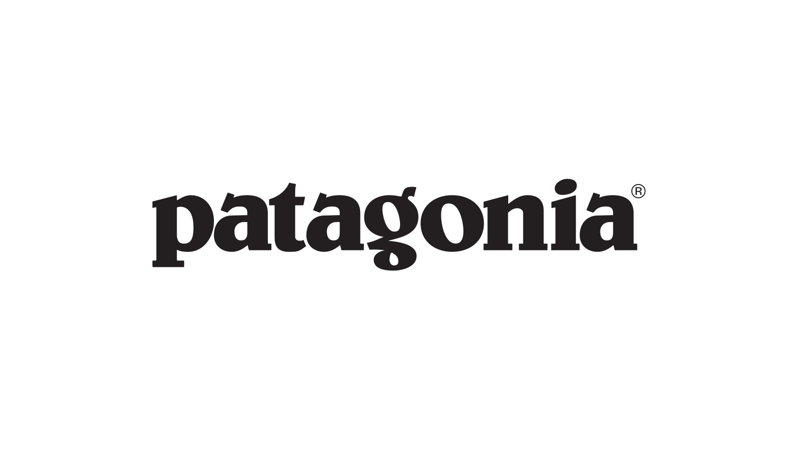 Current Patagonia Fitz Roy skyline and wordmark centered on a fixed canvas.