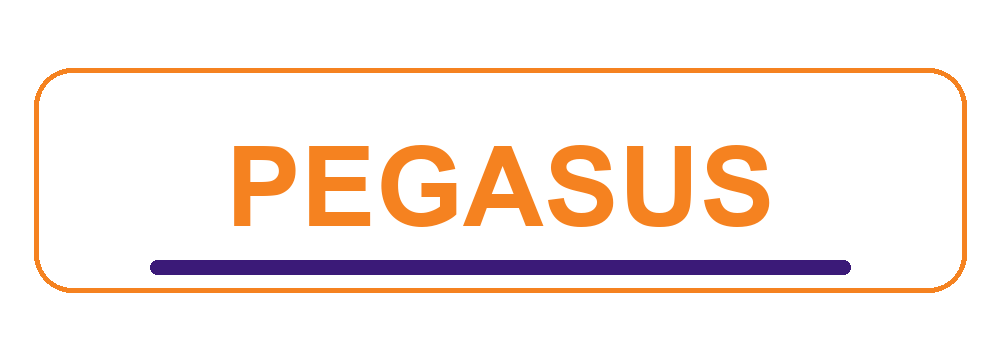 Pegasus editorial wordmark treatment
