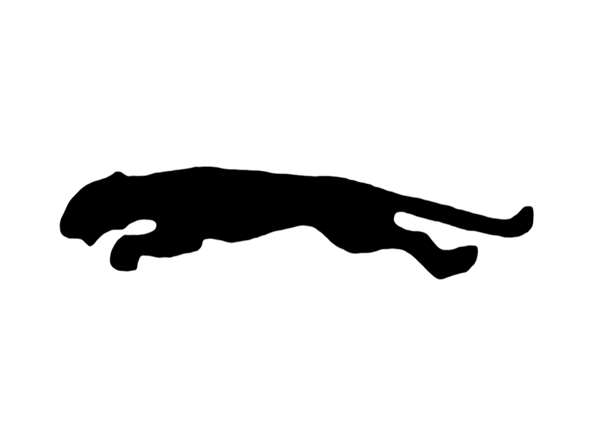 Leaping cat