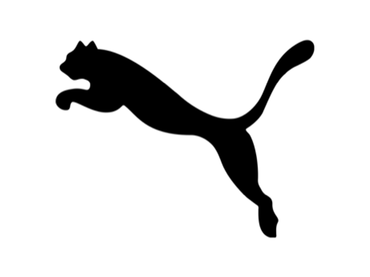 Current leaping cat