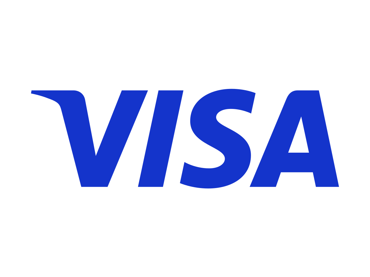 Visa Logo canvas