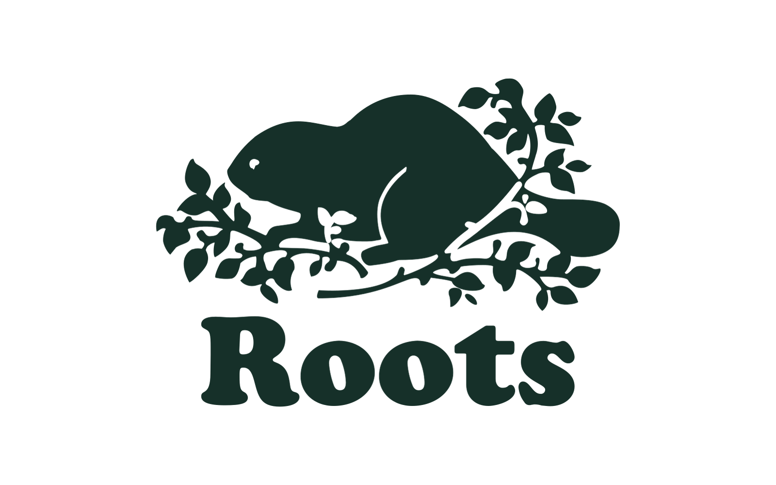 Image accompanying Roots, About