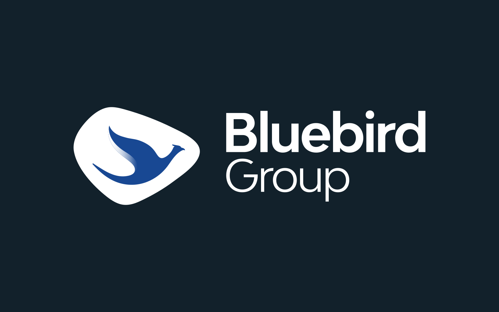 Image accompanying Bluebird Group, contact
