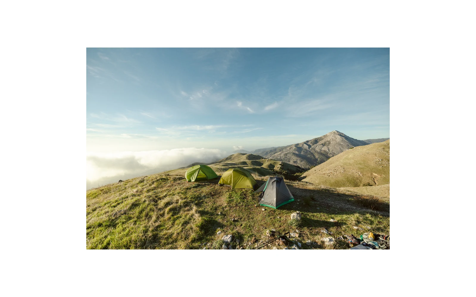 Tents at an outdoor campsite shown by REI