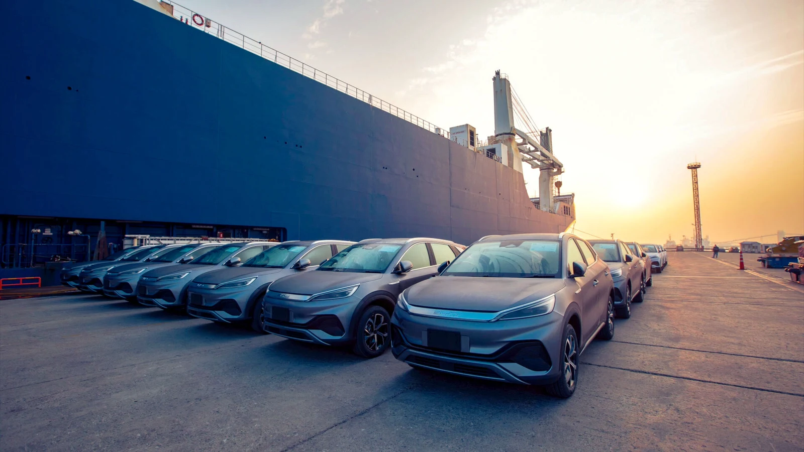 Rows of BYD passenger vehicles prepared for shipment at a port.