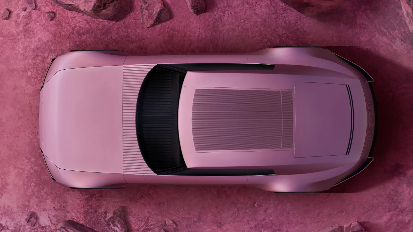 Rhodon Rose Jaguar Type 00 viewed from above.