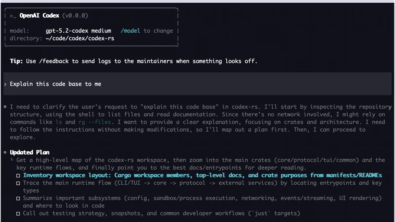 OpenAI Codex command-line interface running inside a terminal.