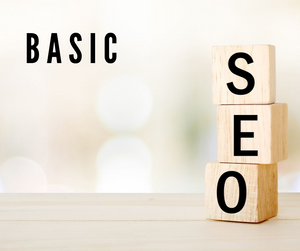 Basic seo services for small business and startups from stan consulting leading seo agency from california 